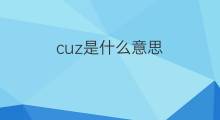 cuz是什么意思 cuz的中文翻译、读音、例句