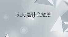 xclu是什么意思 xclu的中文翻译、读音、例句