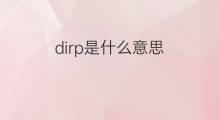 dirp是什么意思 dirp的中文翻译、读音、例句