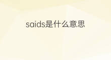 saids是什么意思 saids的中文翻译、读音、例句