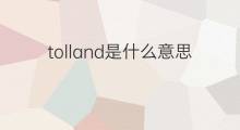 tolland是什么意思 英文名tolland的翻译、发音、来源