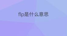 flp是什么意思 flp的中文翻译、读音、例句