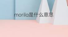 morila是什么意思 morila的中文翻译、读音、例句