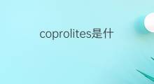 coprolites是什么意思 coprolites的中文翻译、读音、例句