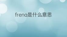 frena是什么意思 frena的中文翻译、读音、例句