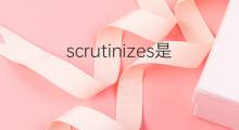 scrutinizes是什么意思 scrutinizes的中文翻译、读音、例句