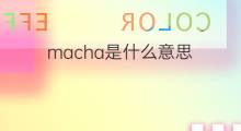macha是什么意思 macha的中文翻译、读音、例句