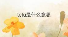 tela是什么意思 tela的中文翻译、读音、例句