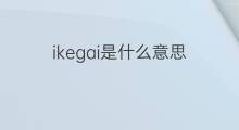 ikegai是什么意思 ikegai的中文翻译、读音、例句