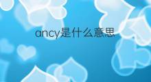 ancy是什么意思 ancy的中文翻译、读音、例句