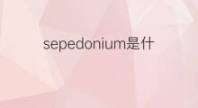 sepedonium是什么意思 sepedonium的中文翻译、读音、例句