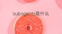 subagents是什么意思 subagents的中文翻译、读音、例句