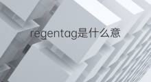 regentag是什么意思 regentag的中文翻译、读音、例句