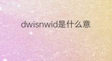 dwisnwid是什么意思 dwisnwid的中文翻译、读音、例句