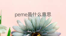 peme是什么意思 peme的中文翻译、读音、例句