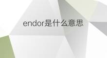 endor是什么意思 endor的中文翻译、读音、例句