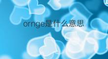 ornge是什么意思 ornge的中文翻译、读音、例句
