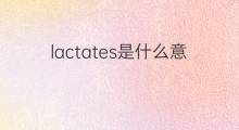 lactates是什么意思 lactates的中文翻译、读音、例句