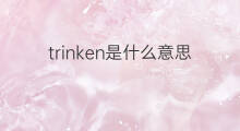 trinken是什么意思 trinken的中文翻译、读音、例句