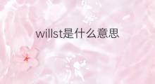 willst是什么意思 willst的中文翻译、读音、例句