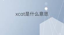 xcat是什么意思 xcat的中文翻译、读音、例句