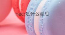 necr是什么意思 necr的中文翻译、读音、例句