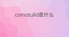 comatulid是什么意思 comatulid的中文翻译、读音、例句