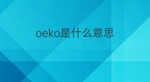 oeko是什么意思 oeko的中文翻译、读音、例句