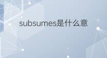 subsumes是什么意思 subsumes的中文翻译、读音、例句