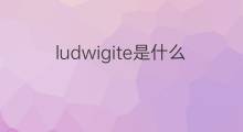 ludwigite是什么意思 ludwigite的中文翻译、读音、例句