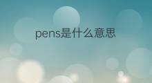 pens是什么意思 pens的中文翻译、读音、例句