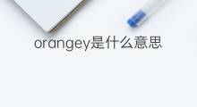 orangey是什么意思 orangey的中文翻译、读音、例句