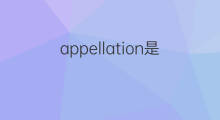 appellation是什么意思 appellation的中文翻译、读音、例句
