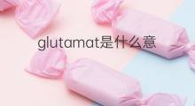 glutamat是什么意思 glutamat的中文翻译、读音、例句