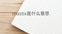 mastix是什么意思 mastix的中文翻译、读音、例句