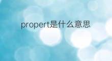 propert是什么意思 propert的中文翻译、读音、例句