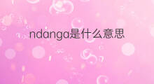 ndanga是什么意思 ndanga的中文翻译、读音、例句