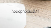 hodophobia是什么意思 hodophobia的中文翻译、读音、例句