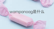 wampanoag是什么意思 wampanoag的中文翻译、读音、例句