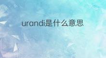 urandi是什么意思 urandi的中文翻译、读音、例句