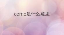 camo是什么意思 camo的中文翻译、读音、例句