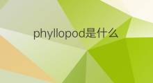 phyllopod是什么意思 phyllopod的中文翻译、读音、例句