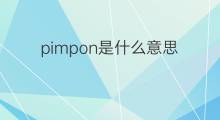 pimpon是什么意思 pimpon的中文翻译、读音、例句