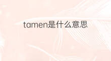 tamen是什么意思 tamen的中文翻译、读音、例句