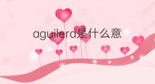 aguilera是什么意思 aguilera的中文翻译、读音、例句