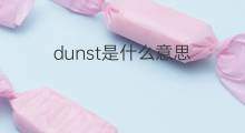 dunst是什么意思 dunst的中文翻译、读音、例句