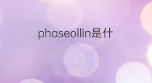 phaseollin是什么意思 phaseollin的中文翻译、读音、例句