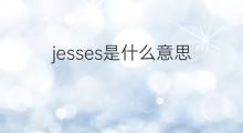 jesses是什么意思 jesses的中文翻译、读音、例句