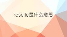 roselle是什么意思 roselle的中文翻译、读音、例句