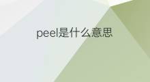 peel是什么意思 peel的中文翻译、读音、例句